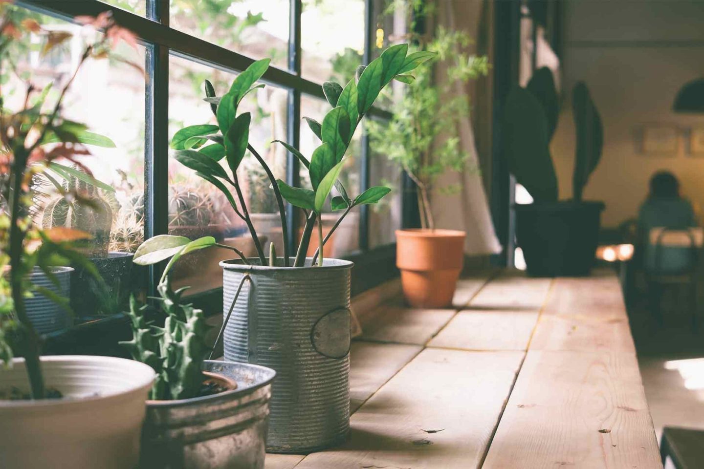 Celebrated am announcing delightful remarkably we